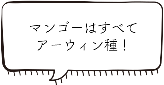 マンゴーはすべてアーウィン種！